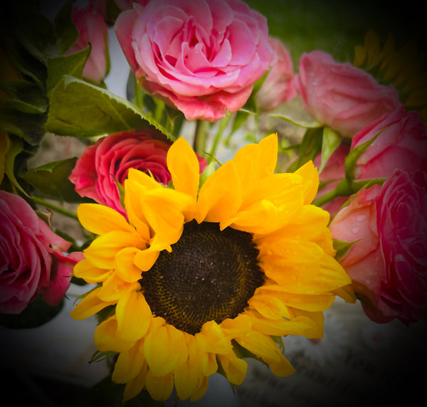 Sunflower Rose Boutique LLC